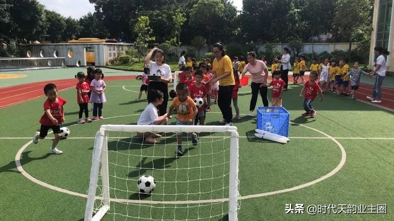 知识城幼儿园,知识城学校