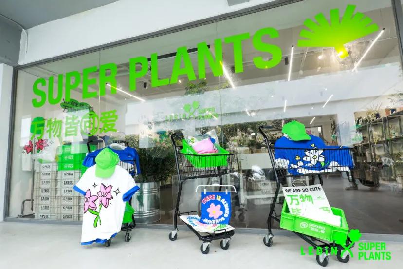 宝藏品牌大揭秘,宝藏品牌带来惊喜