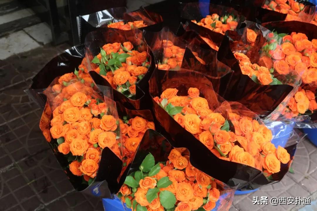 西安花市怎么买花便宜,西安最新花市