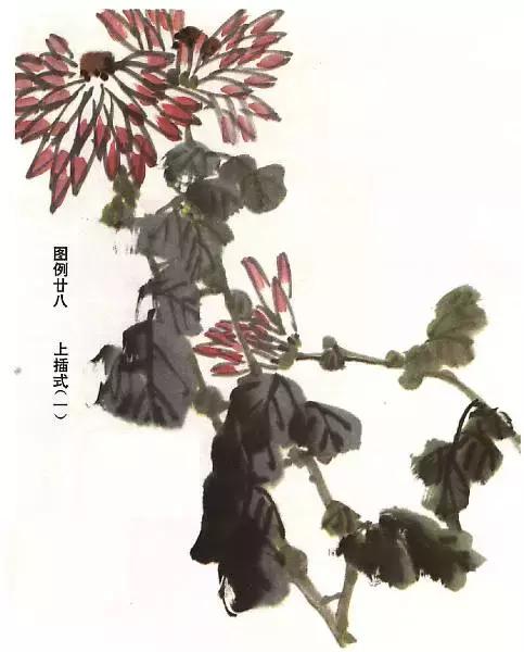 菊花国画入门简单教程,国画菊花画法技法教程