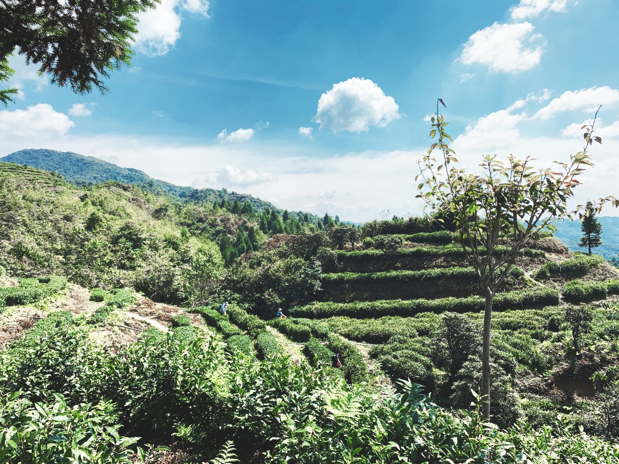 分享贵州毕节美食,毕节好吃的美食
