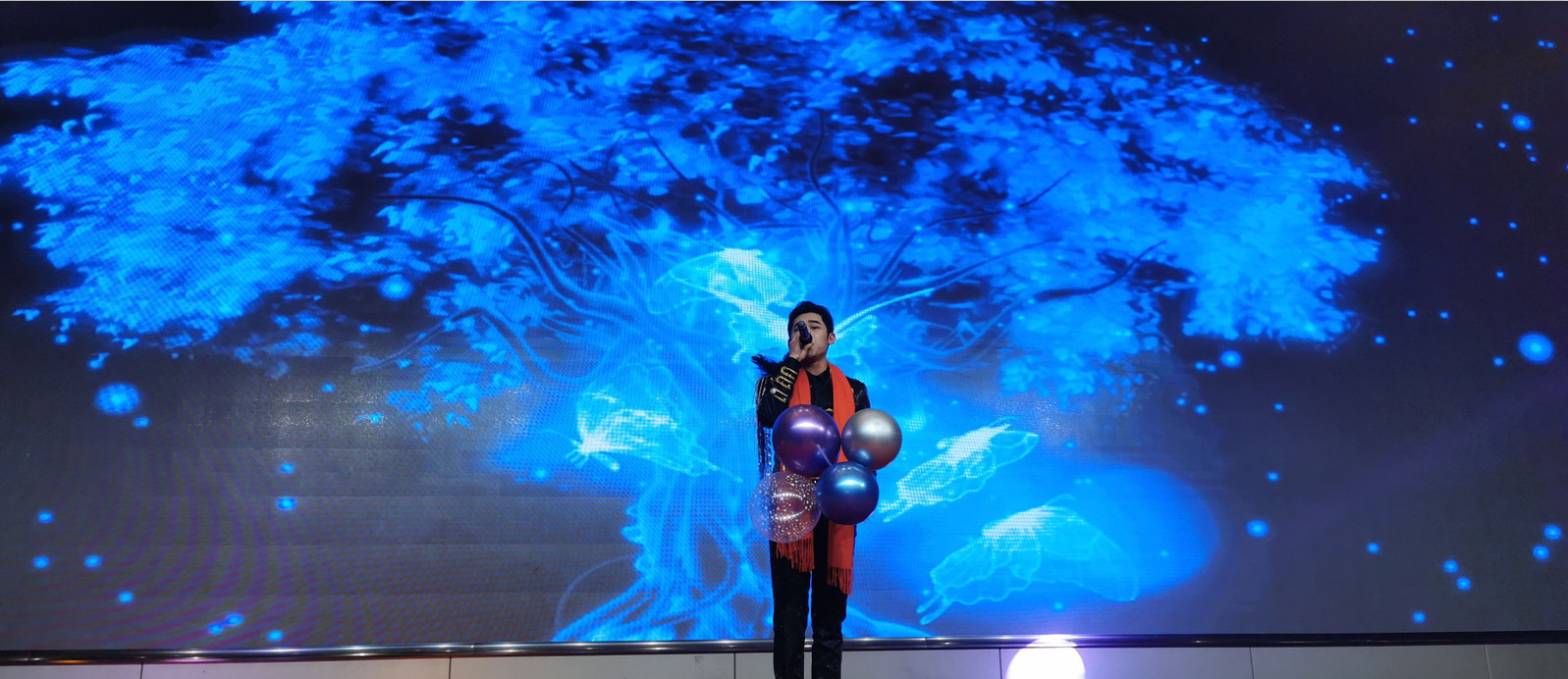 湖北黄石市红星美凯龙,黄石市红星美凯龙广场