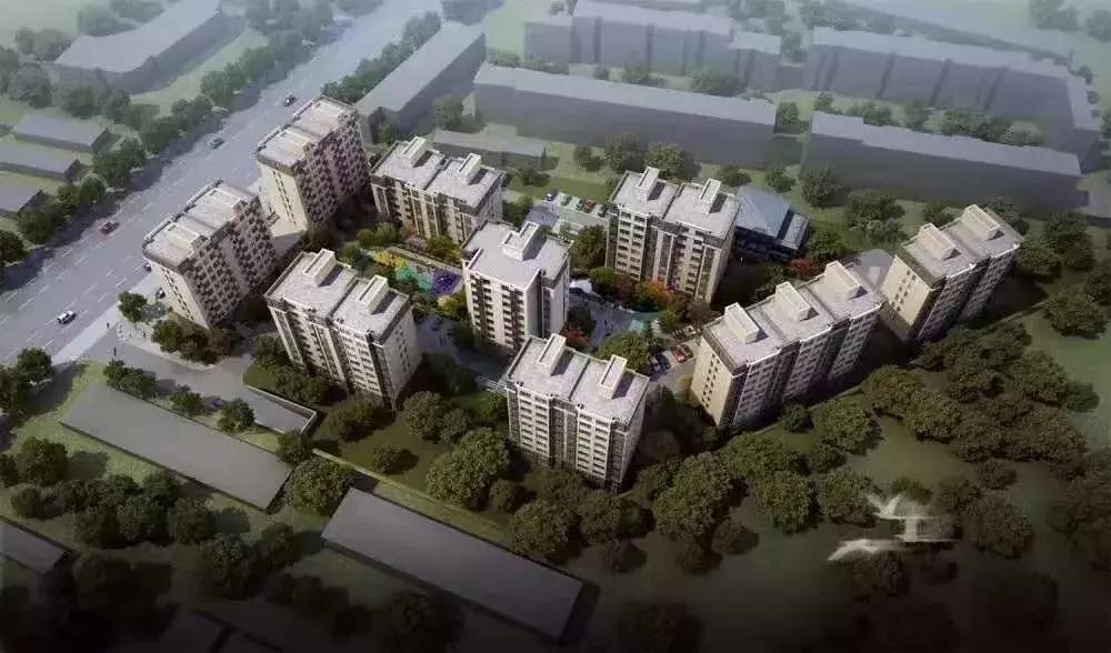 项目样板间开放,样板间项目马上开放