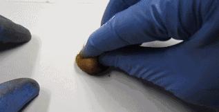 每天抽一包烟的危害有多大,一天抽三根烟和一包烟的区别