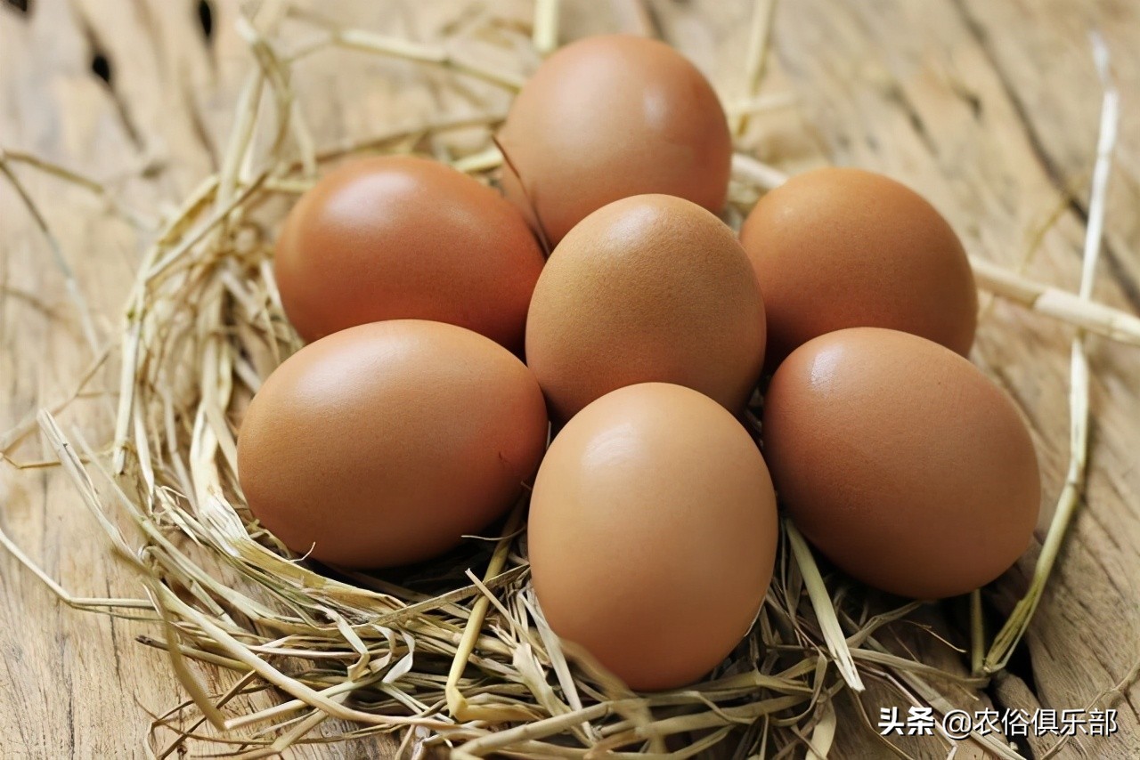 中国农村老人去世后的风俗,关于农村老人去世的风俗