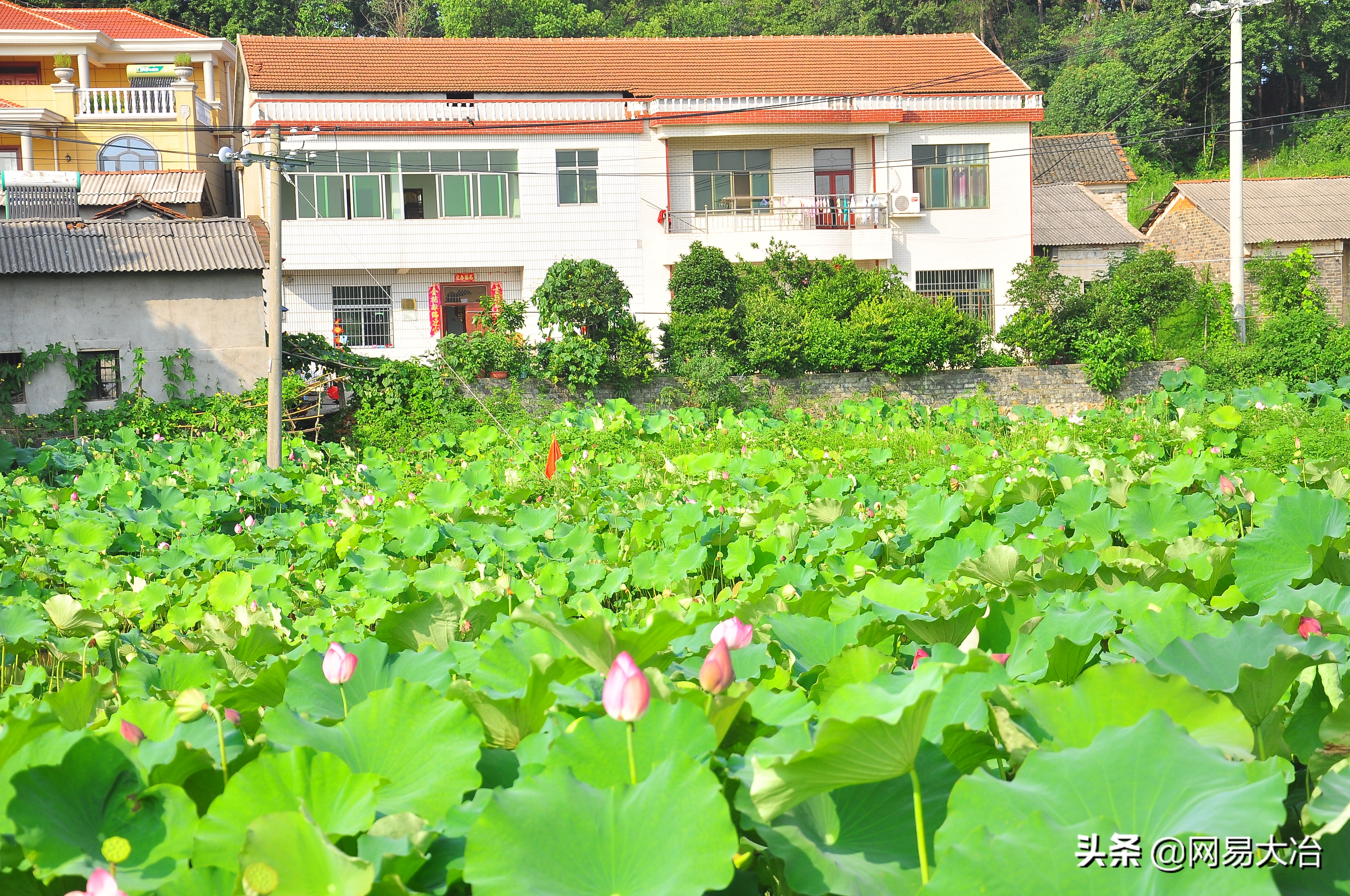 农场众筹模式成功案例,众筹智慧休闲娱乐农场