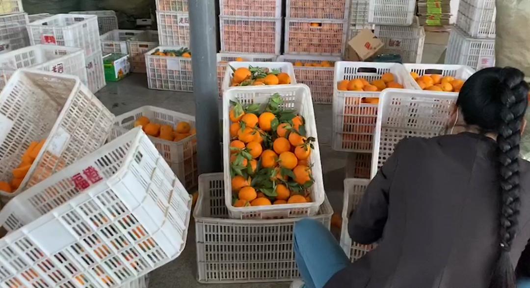 伦晚详解：好吃更要吃个明白，五分钟带你看如何辨别真假伦晚