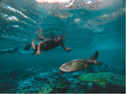 眼睛近视不能吃哪些食物,眼睛近视不能吃哪些东西