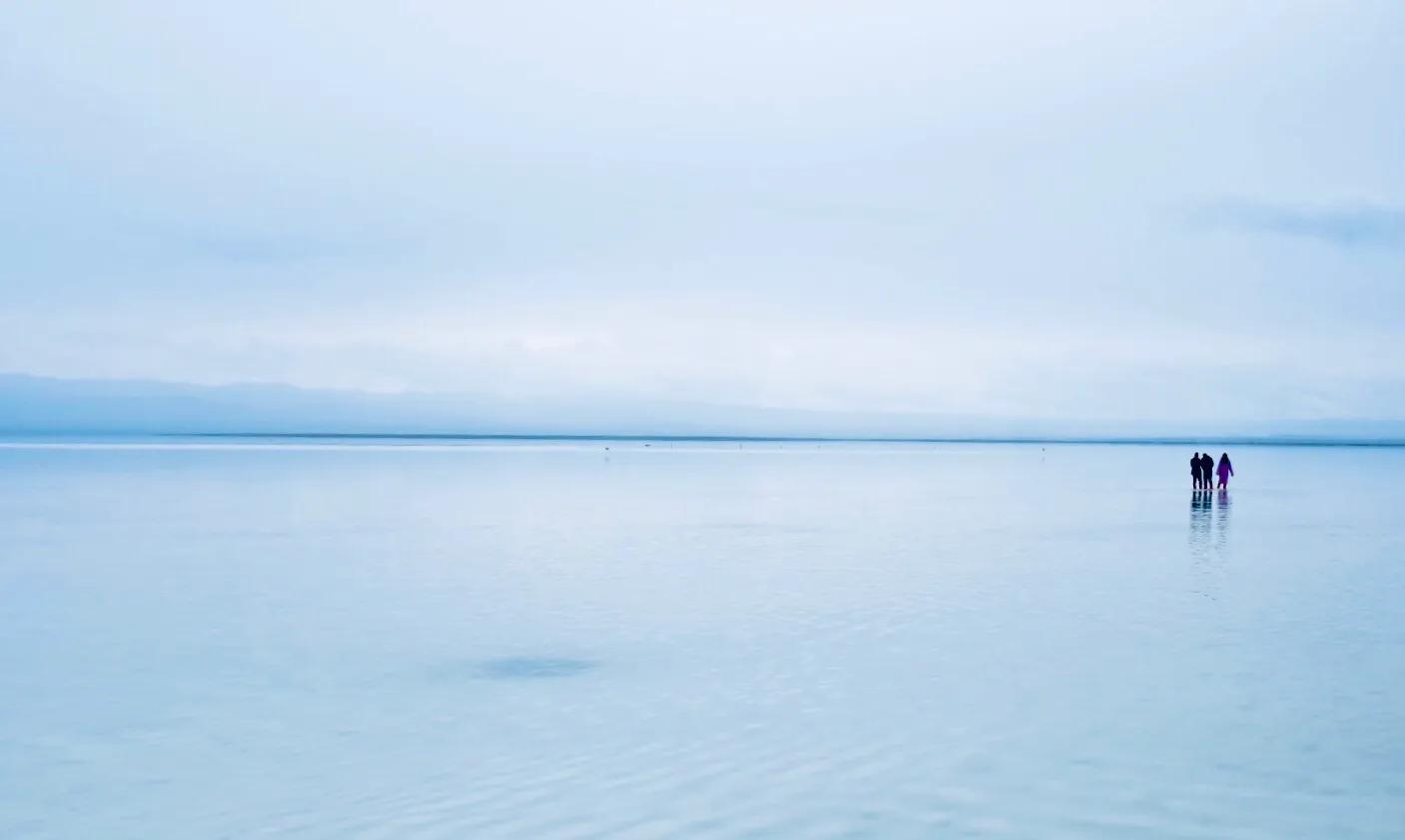 十一种孤独曾一鸣,读孤独之旅有感100字