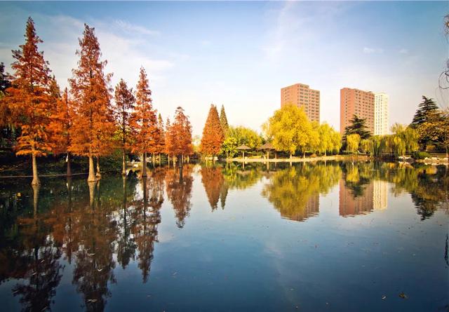 合大为什么一直不成功!合肥市名下的大学未来该怎么定位?