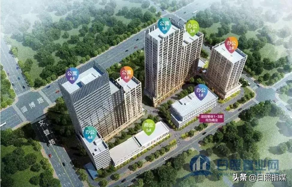 日照旅游攻略,日照绿茶价格表