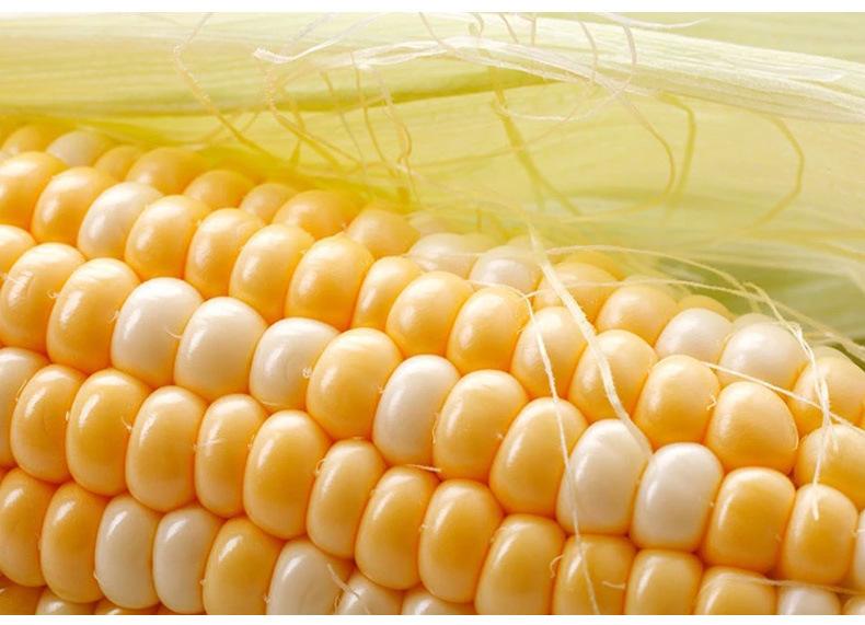 新奇水果玉米,新奇特水果合集