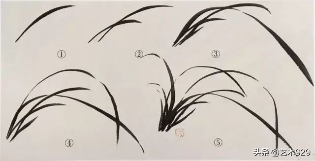 国画兰花的画法太棒了简单易学,泰国兰花绘画技法