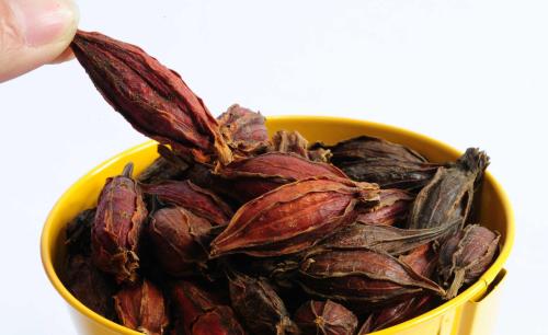 栀子中清热泻火的主要成分,中医栀子功效与主治