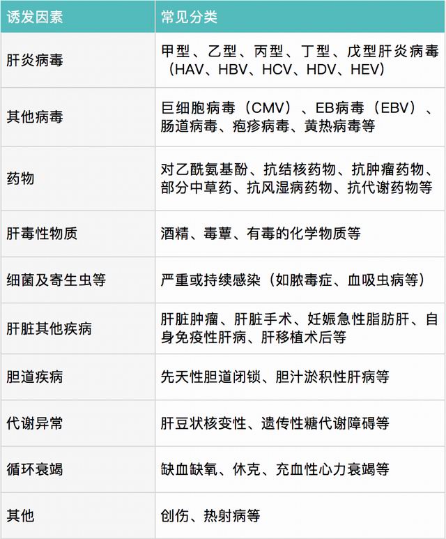 什么是肝衰竭保守治疗,什么是肝衰竭的前兆