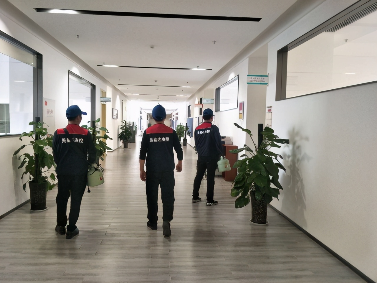 合川区专业灭鼠灭白蚁除蟑螂公司,威远县专业灭鼠灭白蚁除蟑螂公司