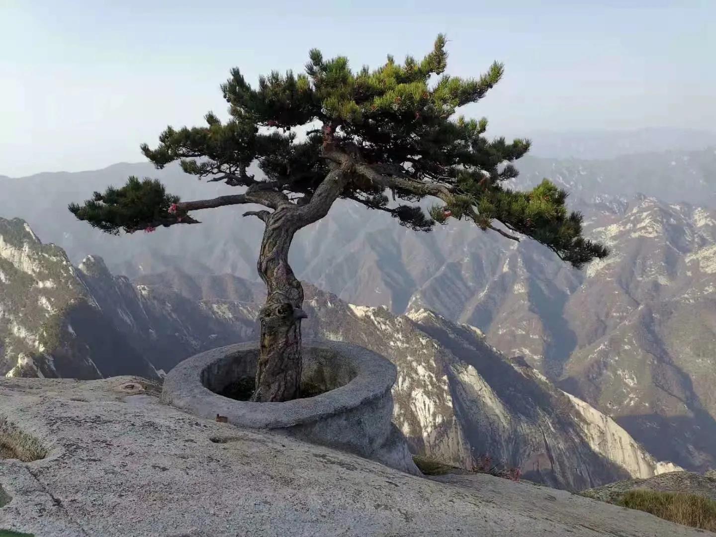 西安旅游攻略大全去华山,西安旅游攻略华山