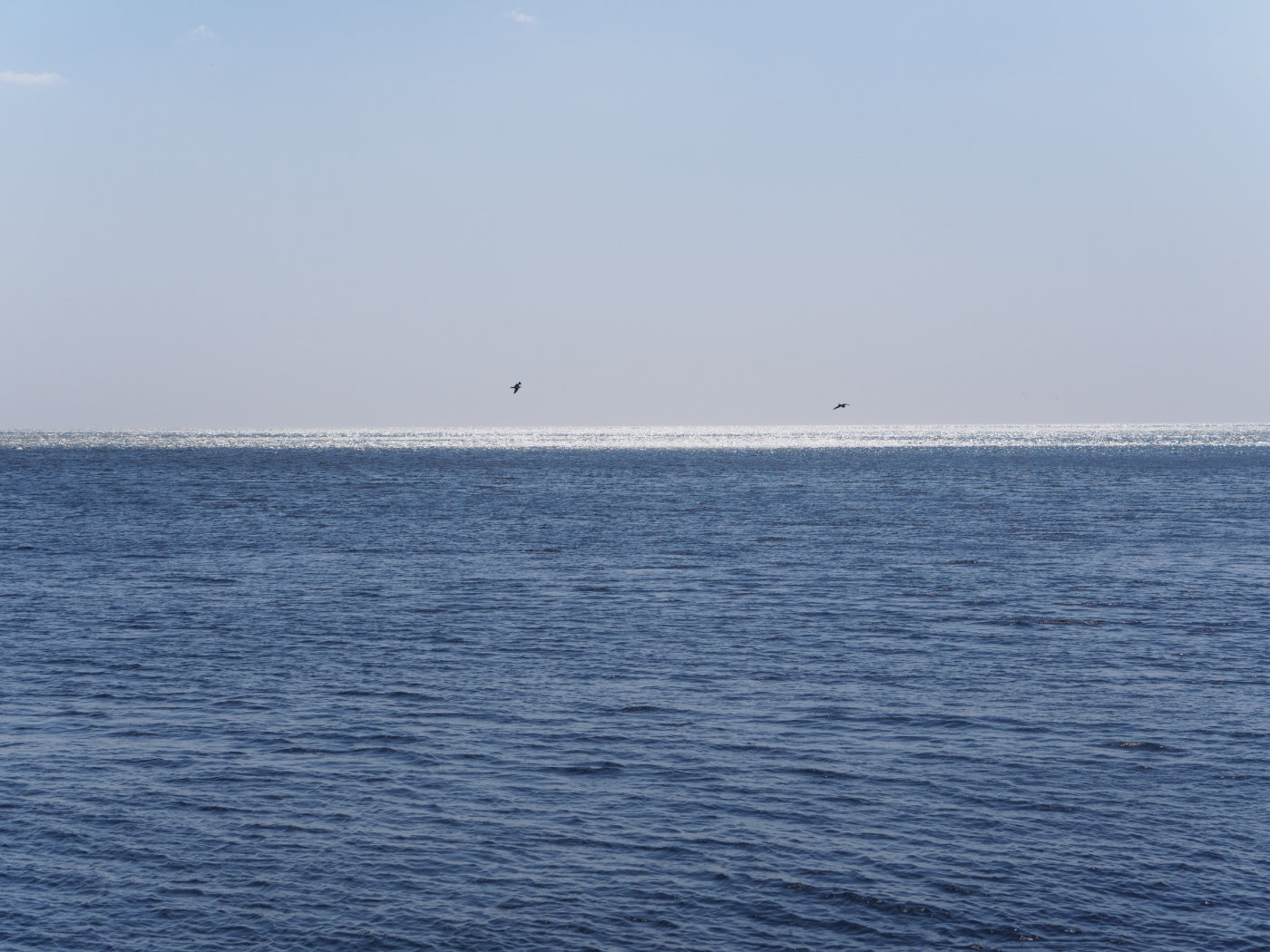 行摄大连丨渔人码头之“海的变奏曲”