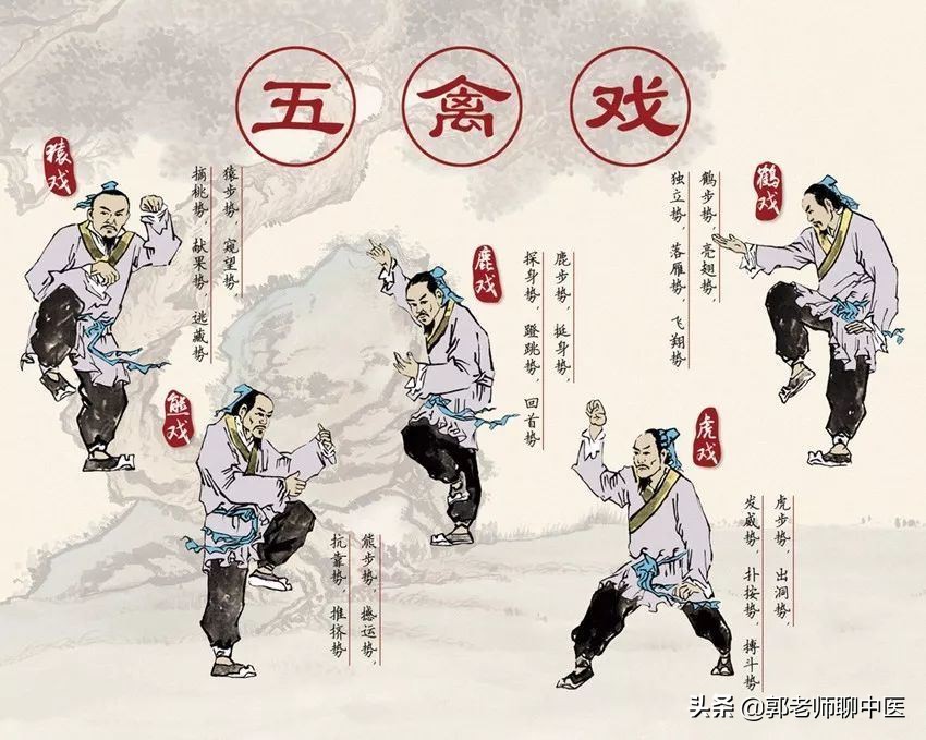 五禽戏传承千年养生功,古传五禽戏高级功法
