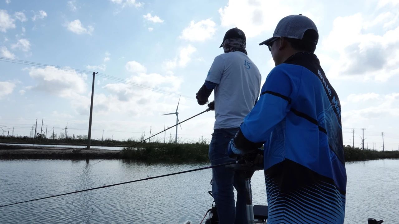 蓝旗鱼软尾路亚饵,蓝旗鱼路亚视频