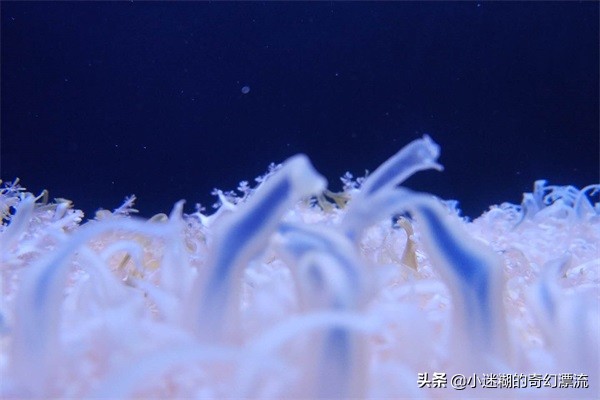 成都浩海立体海洋馆攻略,浩海立方成都海洋公园攻略