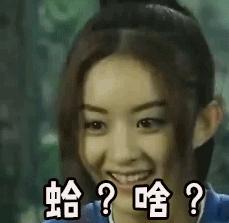 时尚品牌的著名模特,品牌的虚拟代言人参与节目