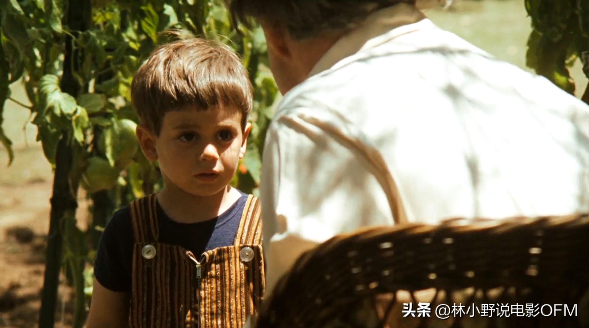 床上的马头是真的假的?桑尼挨了多少枪?好莱坞经典「教父」解密