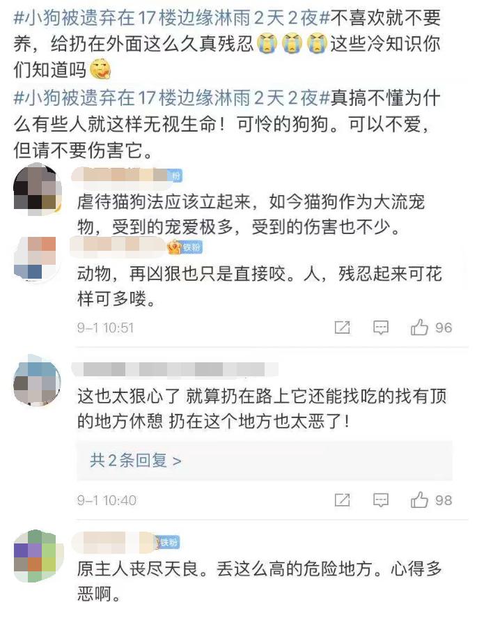 小狗突然消失摔下楼梯,小狗假装被抛弃原视频