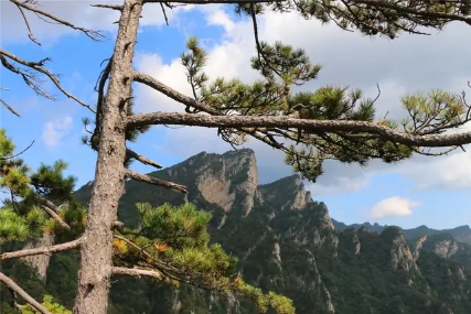 南阳市高性价比的景区,南阳农家乐旅游景点