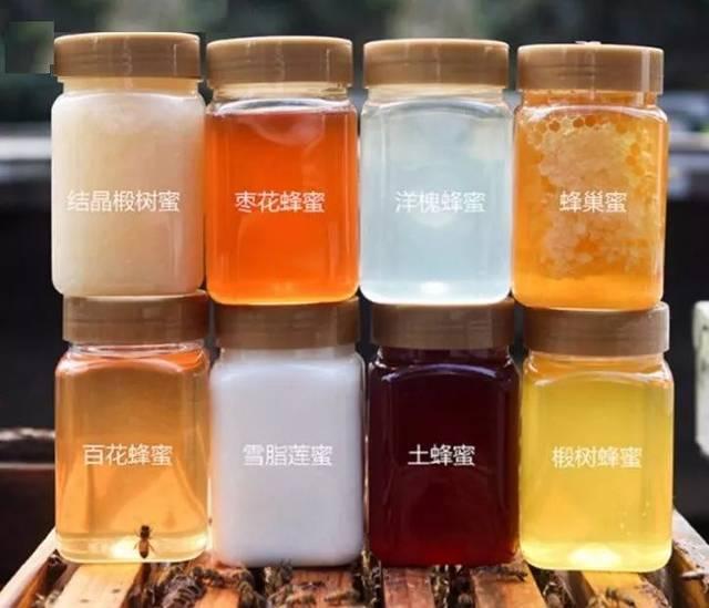 最土的是它，最甜的也是它｜董峰蜂蜜