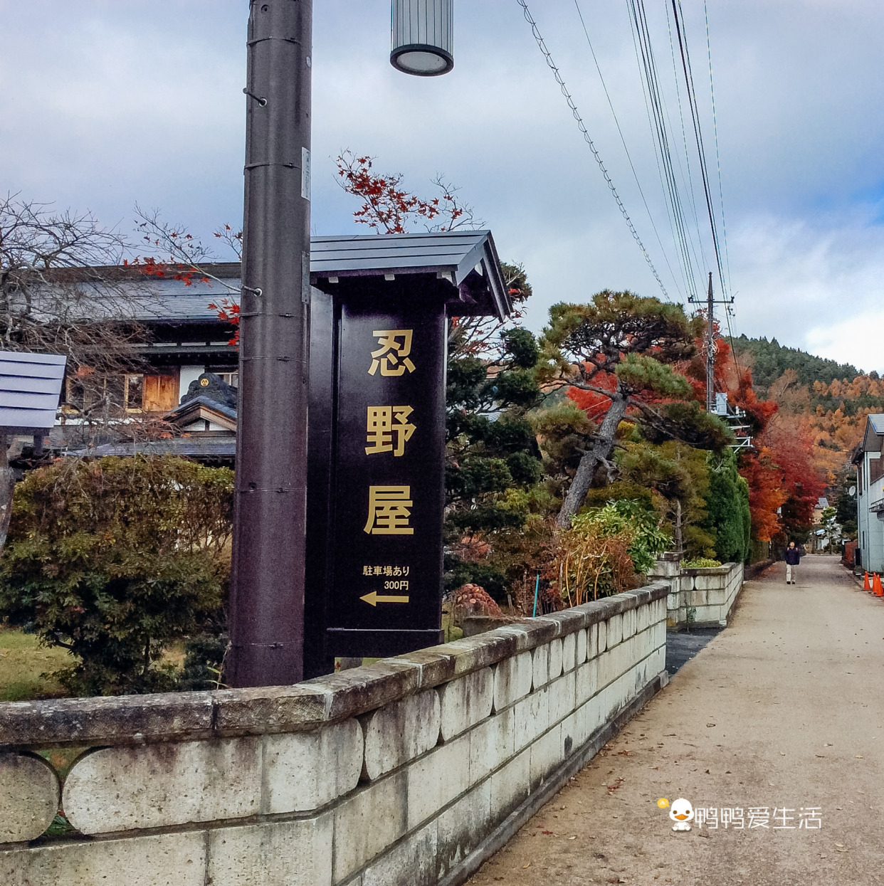 日本“小九寨”藏在富士山下，5月起繁花盛开，还能把泉水带回家