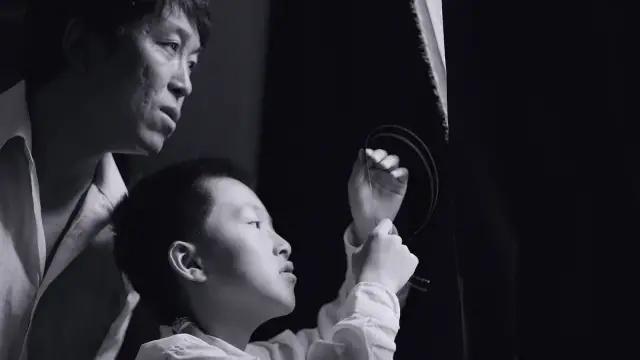 夏天最值得看的电影,十部必看经典电影夏天