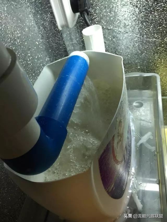 垃圾桶旁边的四方鱼缸,捡回去养了一缸金鱼,别说还挺不错