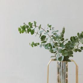 清新柑橘调香水,柑橘调香水推荐