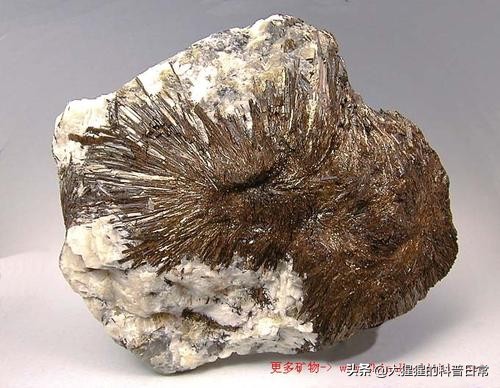 铝硅酸盐矿物,硅酸盐四种矿物含量