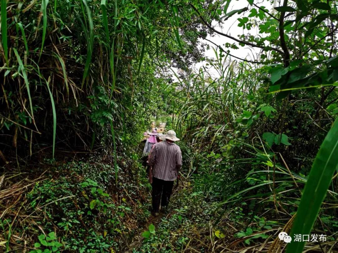 湖口防汛抢险,江西防汛抗旱工作