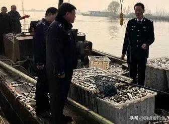 电鱼的危害会不会破坏生态环境,电鱼的副作用和危害