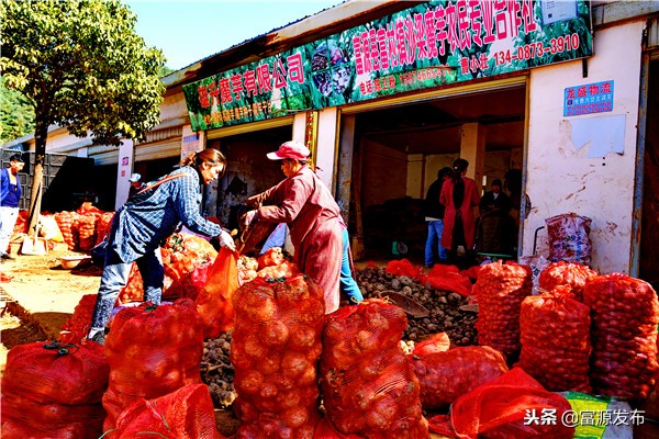 富村魔芋交易市场小区,广东最大魔芋批发市场