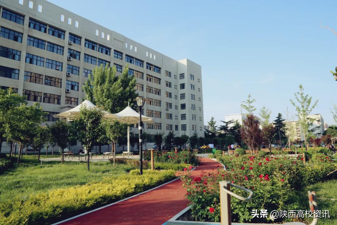 陕西财经职业技术学院单招题,陕西财经职业技术学院24届招生