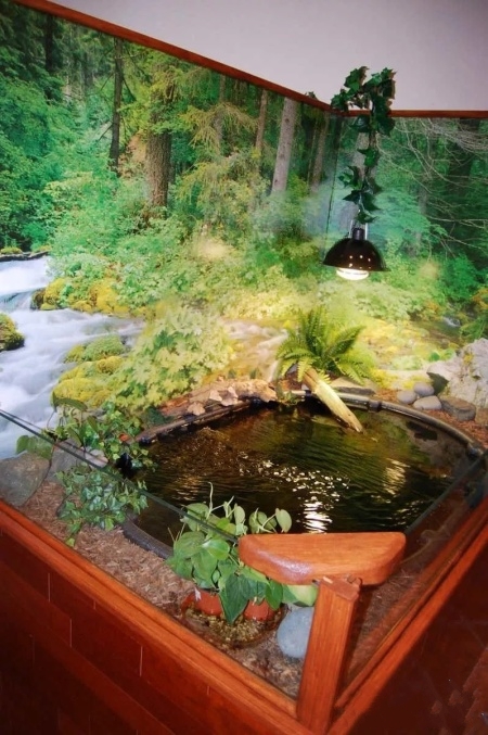 解决龟缸臭,龟缸过滤器噪音大该怎么解决