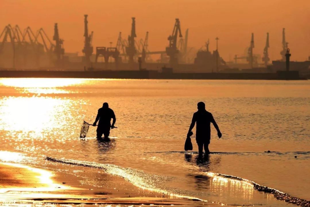 国内哪个海边赶海可以捡到贝壳,捡贝壳赶海好去处