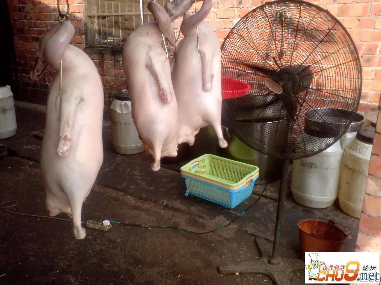 瓦缸烧鹅的做法,正宗瓦缸烧鹅视频