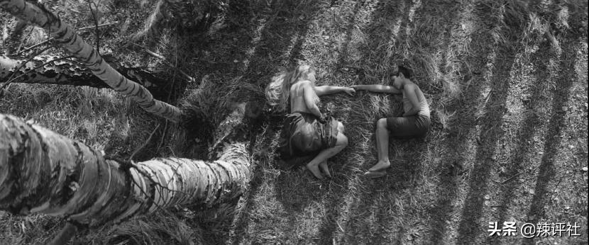 *力暴**与血腥在性关系中，异类是如何存活下去的