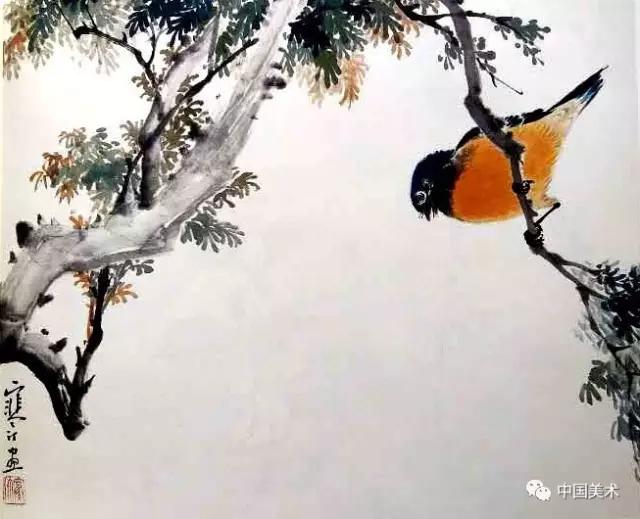 禽鸟画教程,最简单的禽鸟画法