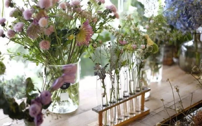 她辞去总监回家扶贫后续,她辞去总监回家扶贫结局