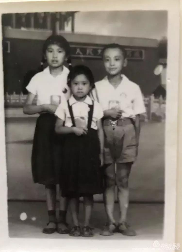 我的鄂尔多斯电视剧乐视,我的鄂尔多斯电视剧片尾曲