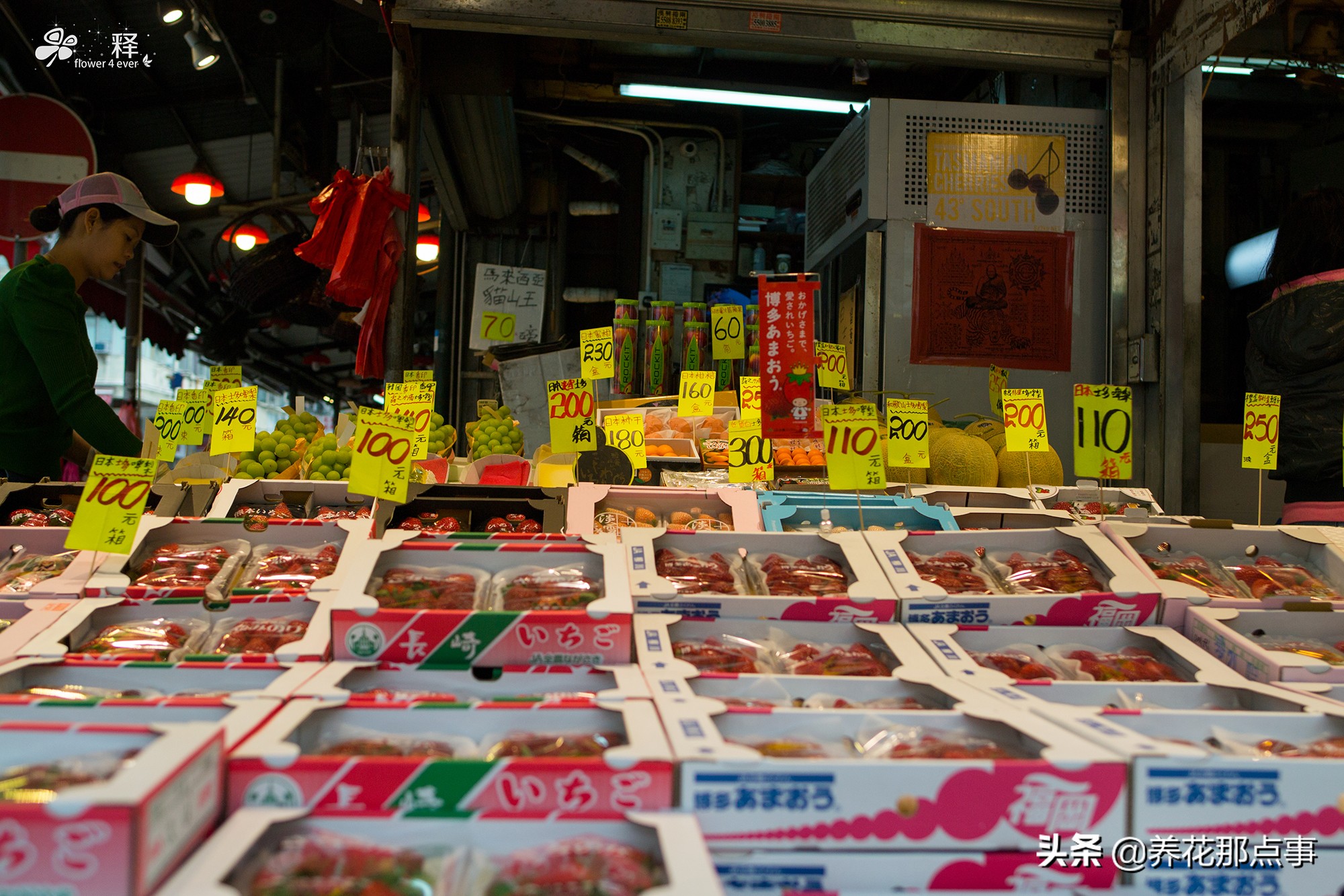 水果一斤一百多，穷人都吃不起蔬菜水果，这才是真正的香港