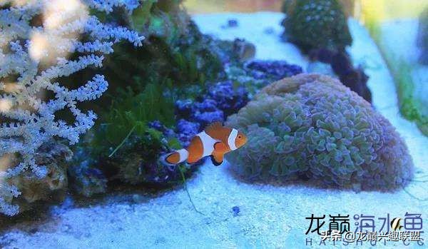 看完别笑，都陪我哭！新人下海开缸的血泪史