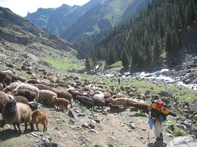 *疆新**著名“车师古道”这次彻底惊艳了众人！大批人马即将涌入！