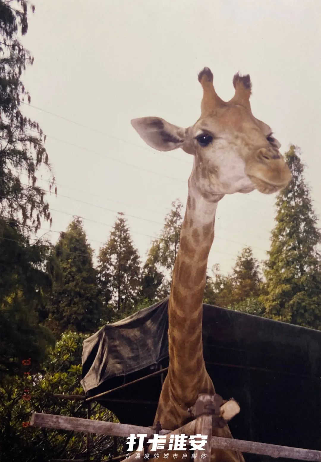 儿童节去儿童乐园,儿童节去公园玩